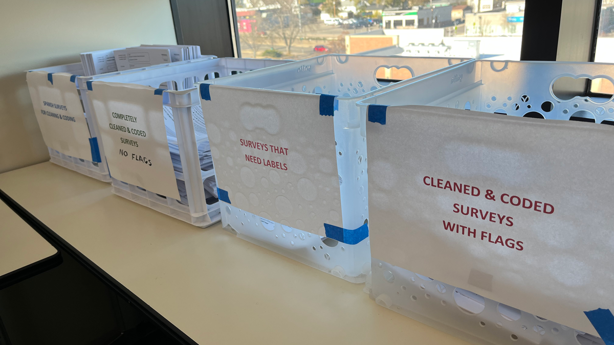 A series of clear plastic crates hold sorted surveys ready for analysis.