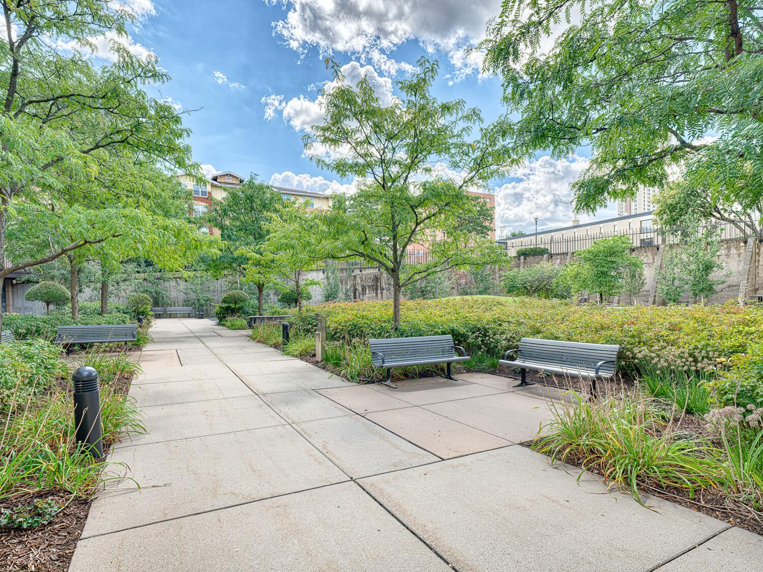 Wilder Center Backyard