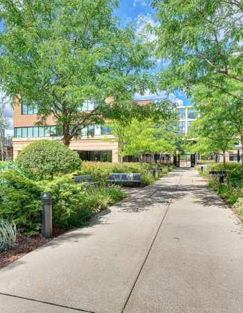 Wilder Center Backyard