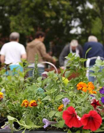 Adult Day Health Program of Wilder Healthy Aging and Caregiving Services enjoy time in the backyard garden.  